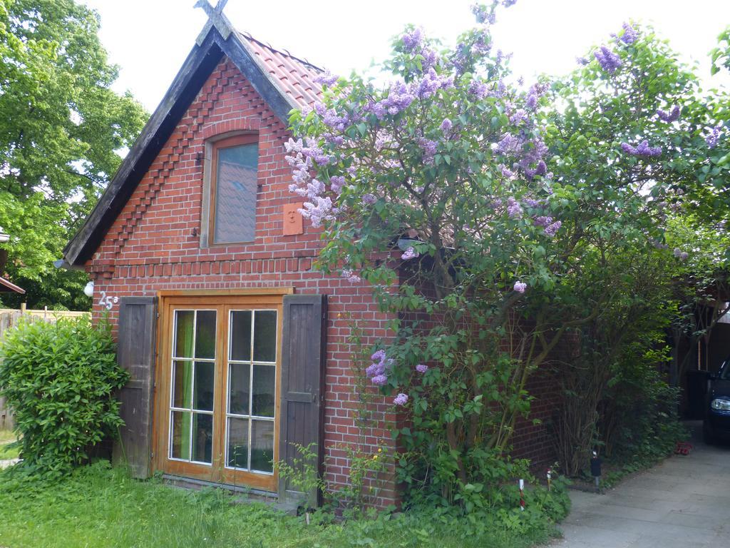 Ferienhaus Elbtalaue Bleckede Camera foto